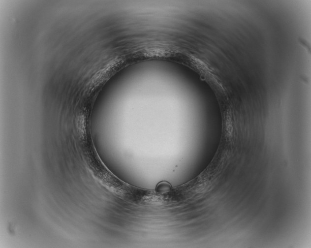 X0000100370211200806201635