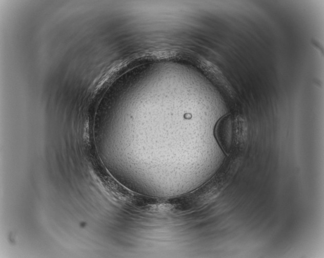 X0000100370212200806201635