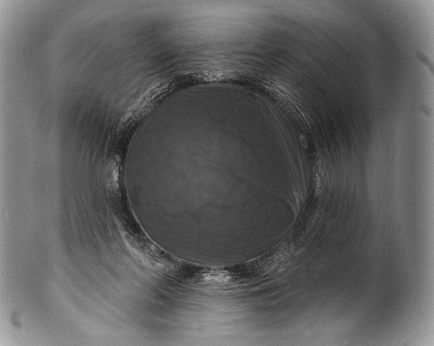 X0000100370214200806201635