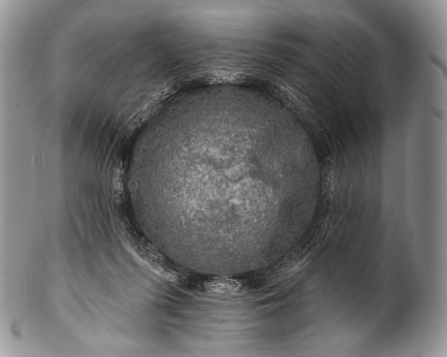 X0000100370215200806201635