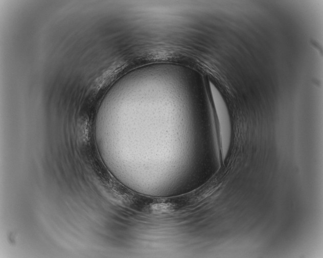 X0000100370216200806201635