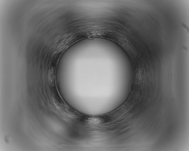 X0000100370218200806201635