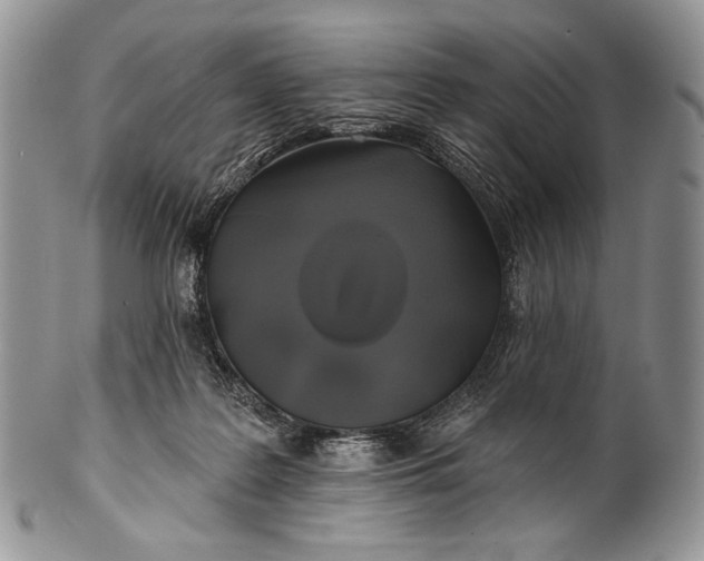 X0000100370219200806201635