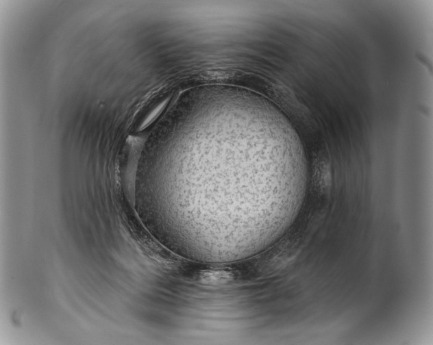 X0000100370220200806201635