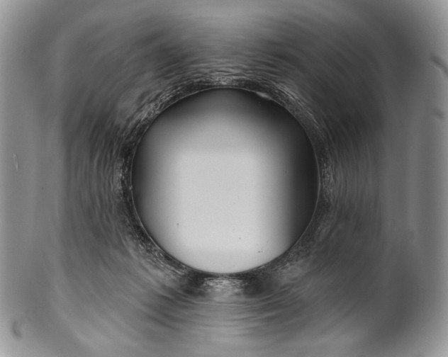 X0000100370221200806201635