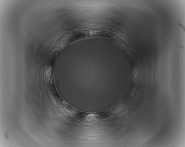 X0000100370222200806201635