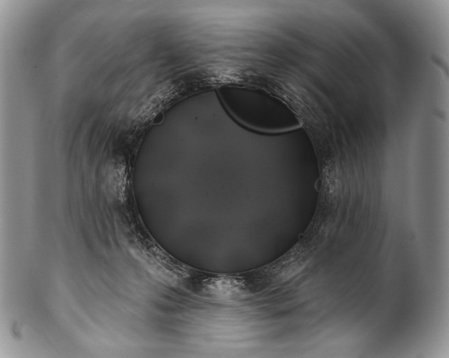 X0000100370223200806201635