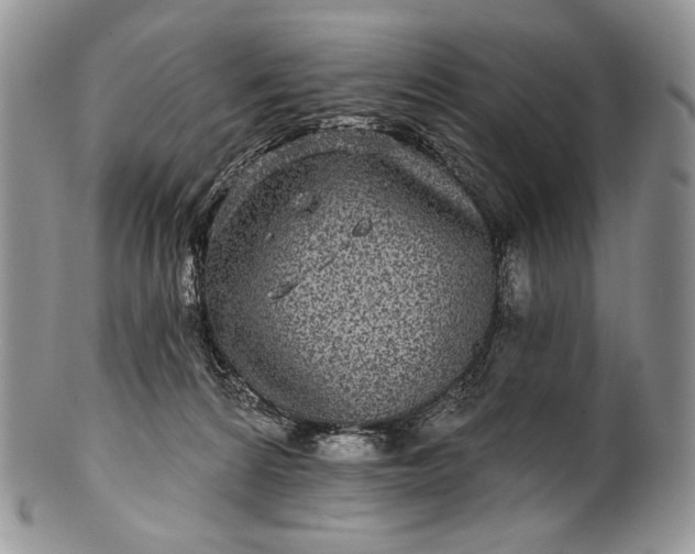 X0000100370224200806201635