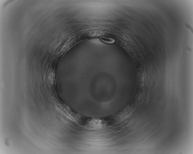 X0000100370227200806201635