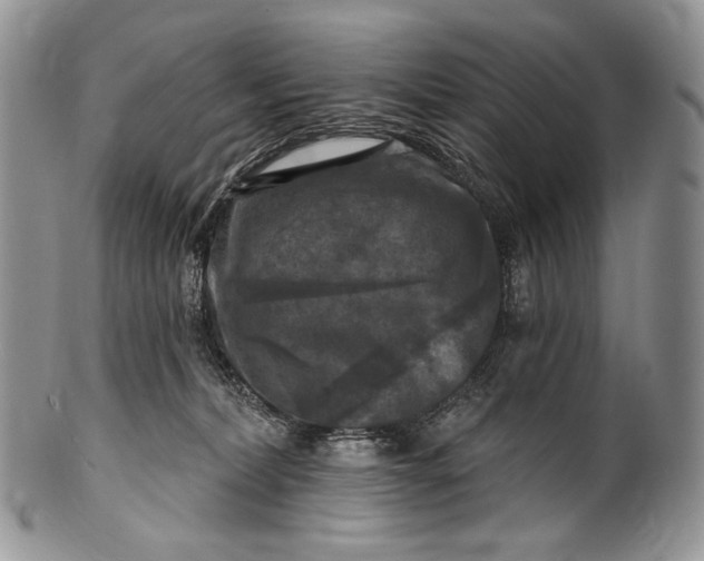 X0000100370228200806201635