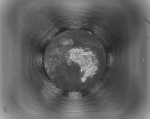 X0000100370230200806201635