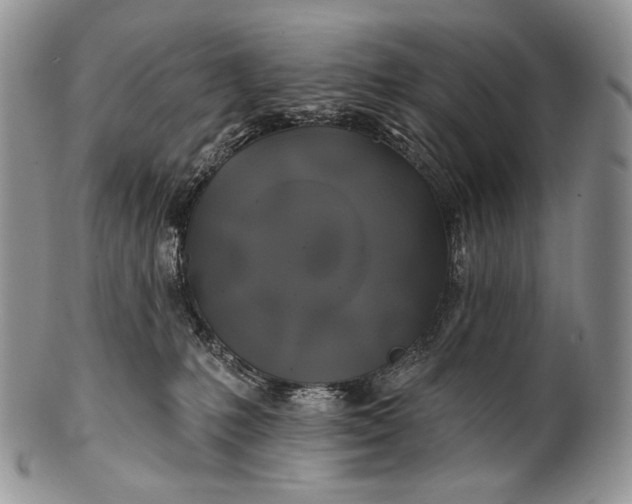 X0000100370231200806201635