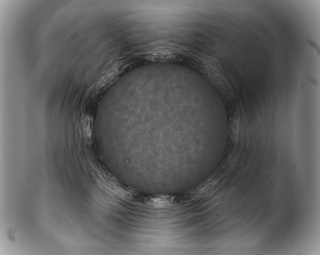 X0000100370232200806201635