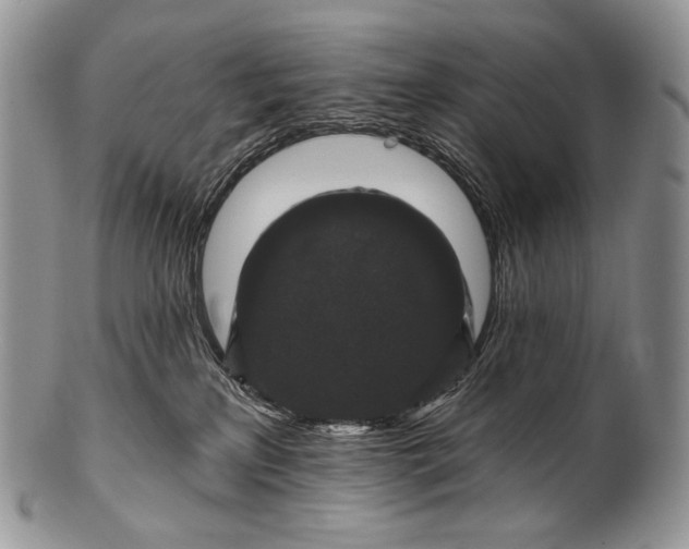 X0000100370233200806201635