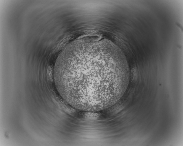 X0000100370234200806201635