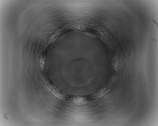 X0000100370235200806201635