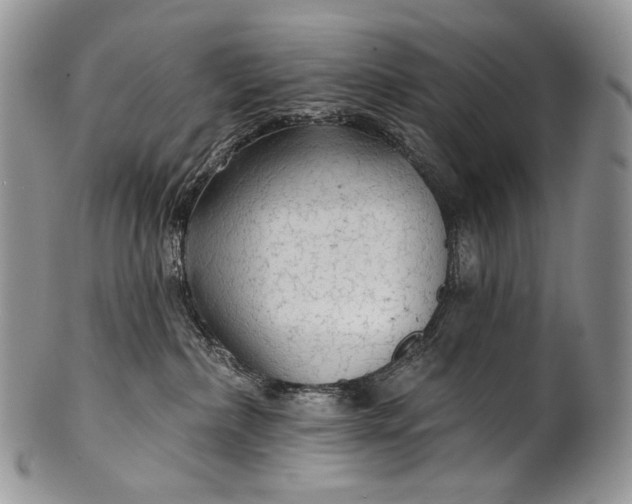 X0000100370236200806201635