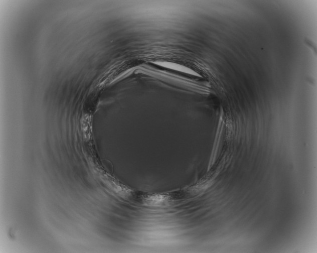 X0000100370237200806201635