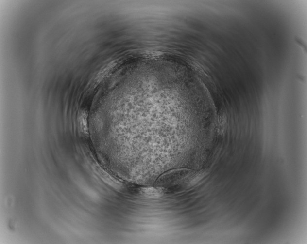 X0000100370238200806201635