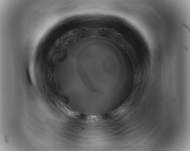 X0000100370239200806201635