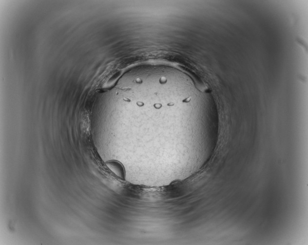 X0000100370240200806201635