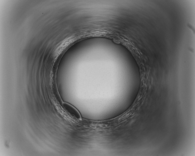 X0000100370242200806201634