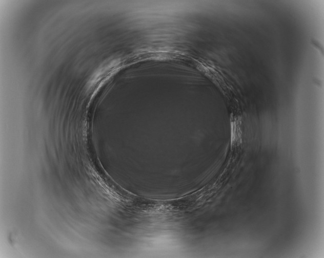 X0000100370243200806201634