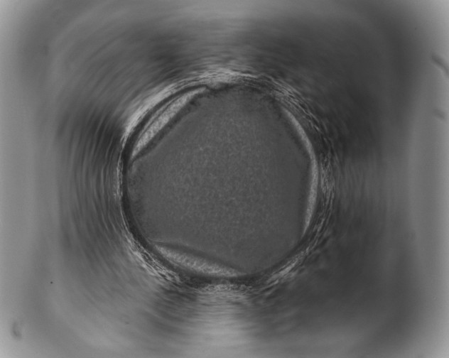 X0000100370244200806201634