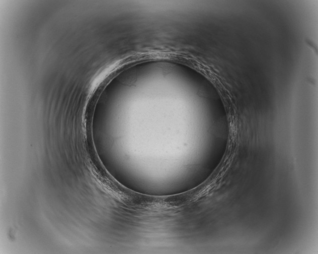 X0000100370246200806201634