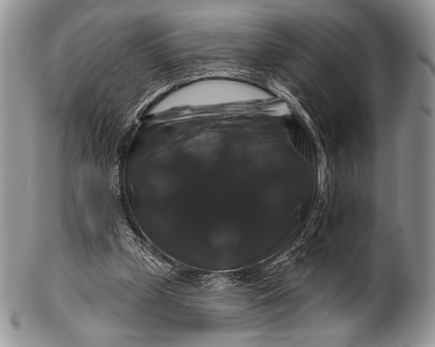 X0000100370249200806201634