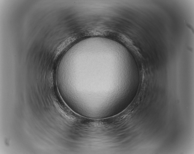 X0000100370250200806201634