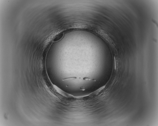 X0000100370252200806201634