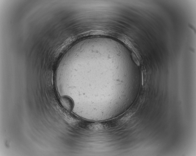 X0000100370253200806201634