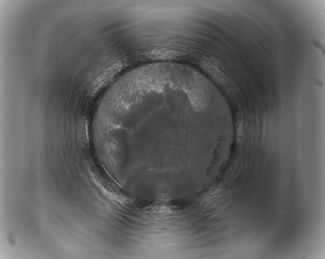 X0000100370254200806201634