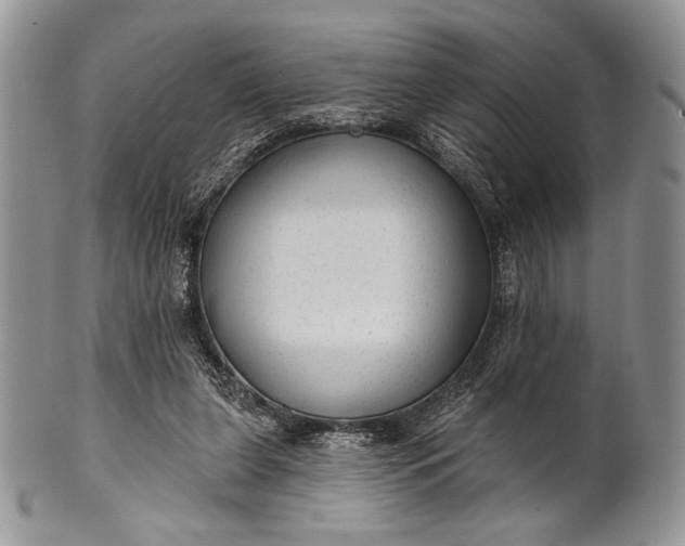 X0000100370255200806201634