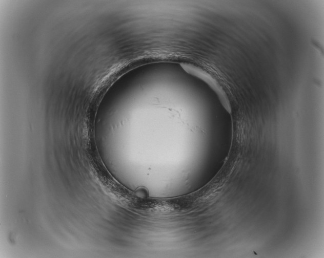 X0000100370256200806201634