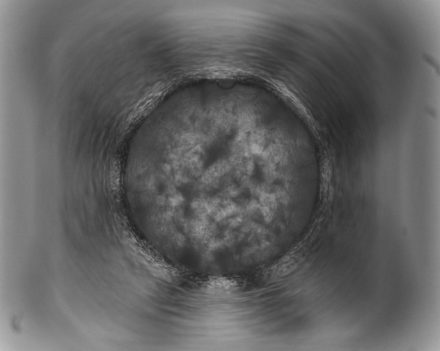 X0000100370257200806201634