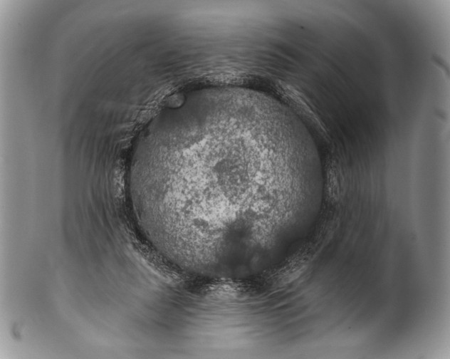 X0000100370259200806201634