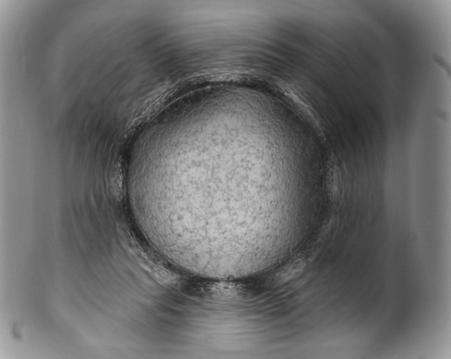 X0000100370261200806201634