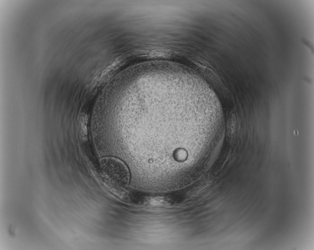 X0000100370264200806201634