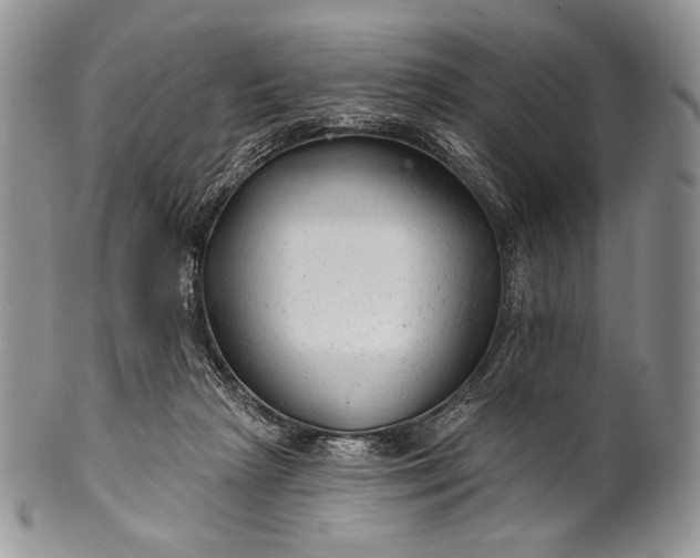 X0000100370265200806201634