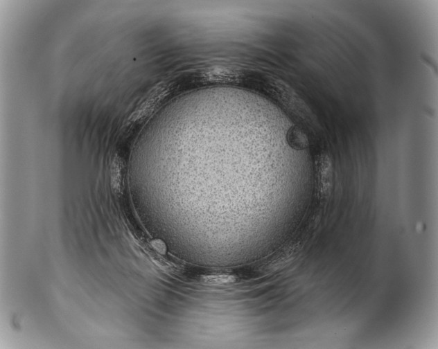 X0000100370266200806201634