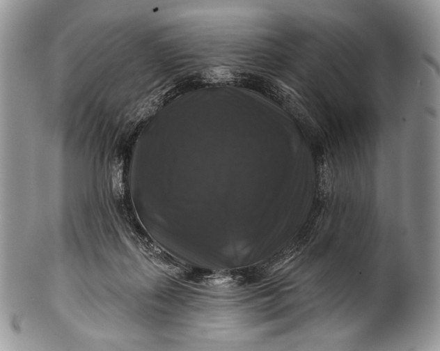 X0000100370267200806201634