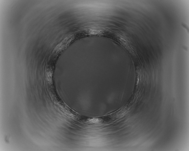 X0000100370269200806201635