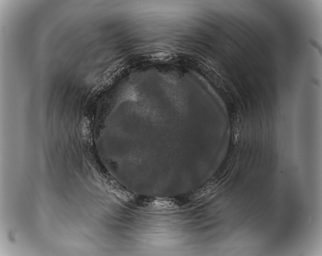 X0000100370270200806201635