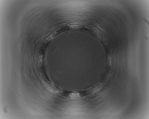 X0000100370271200806201635