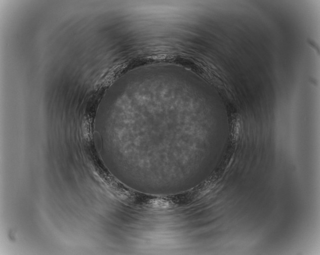 X0000100370272200806201635