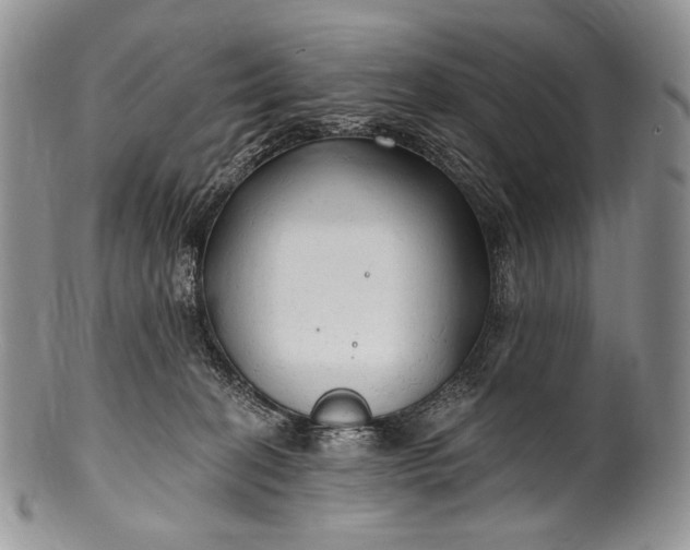 X0000100370274200806201635