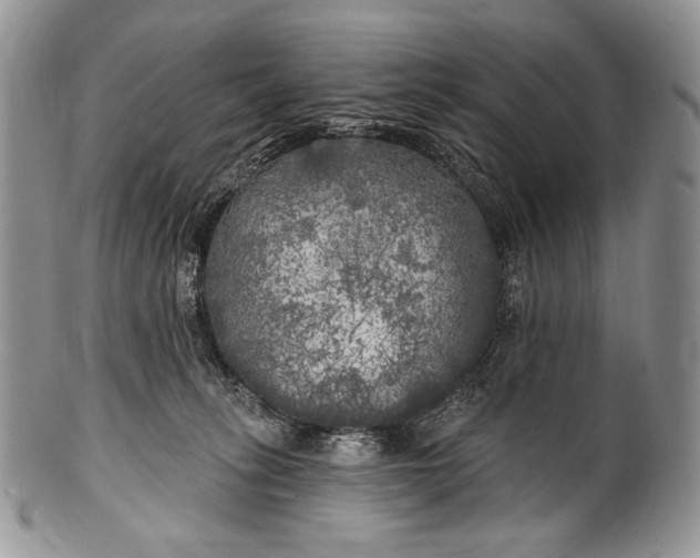 X0000100370275200806201635