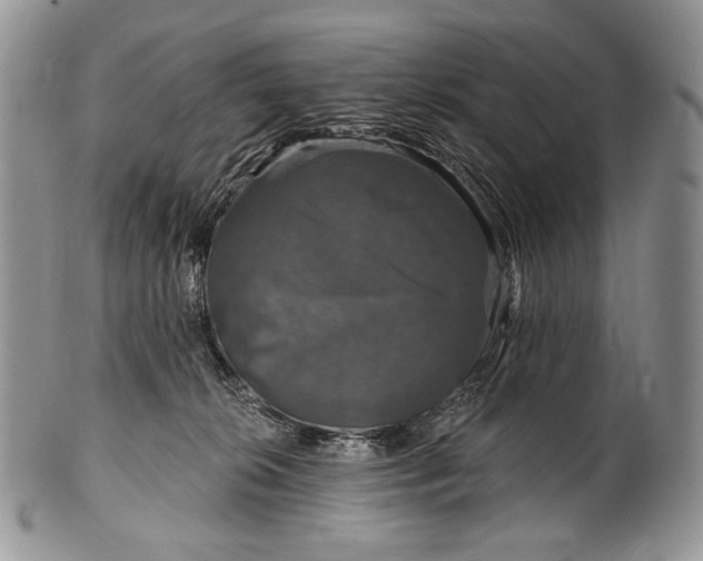 X0000100370276200806201635